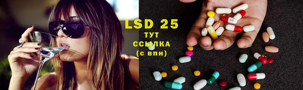 шишки Инта