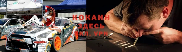 шишки Инта