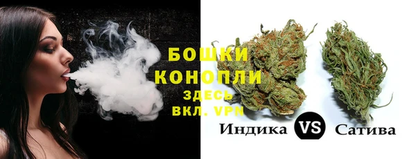 прущая мука Инсар