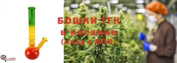 шишки Инта