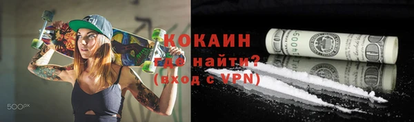 шишки Инта