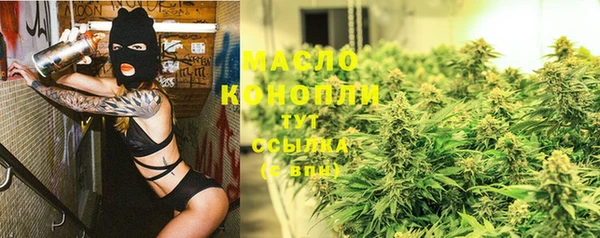 шишки Инта