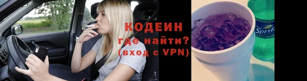 шишки Инта