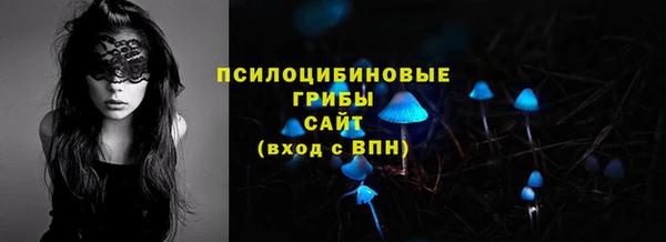 шишки Инта