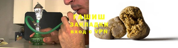 шишки Инта