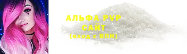шишки Инта