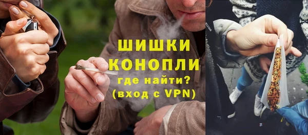 шишки Инта
