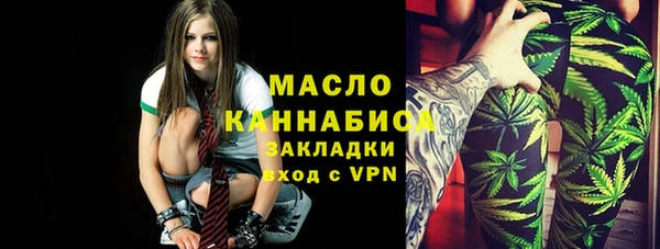 шишки Инта