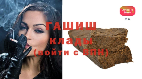 шишки Инта