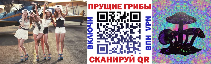 Галлюциногенные грибы Psilocybine cubensis Дрезна